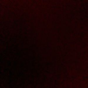 Meet your Posher, Kassondra